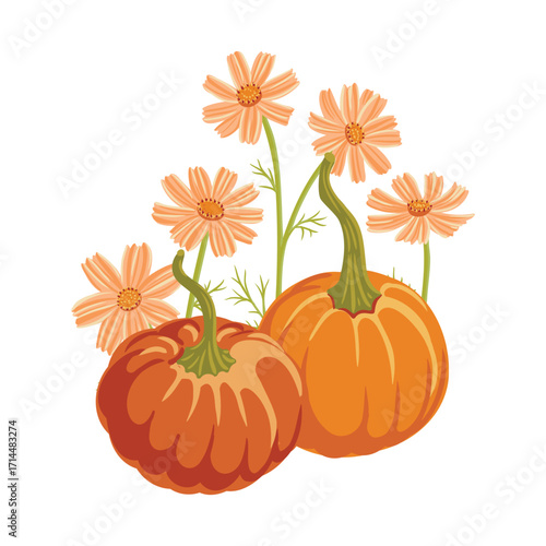 vector drawing pumpkins and flowers, Thanksgiving day decoration, autumn vegetable composition with cosmos flowers, hand drawn illustration