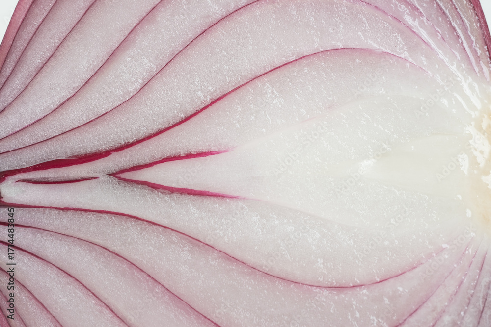 Fototapeta premium close up of onion