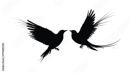 WebTwo black birds flying gracefully, a striking symbol of freedom, perfect for minimalist designs, nature-inspired projects, or artistic expressions conveying peace and tranquility