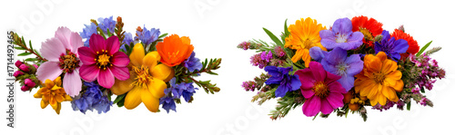 Wallpaper Mural Vibrant Display of Colorful Wildflowers in Bright Full Bloom Isolate on Transparent Background, cutout, png Torontodigital.ca