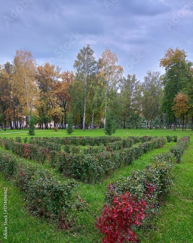 autumn in the park