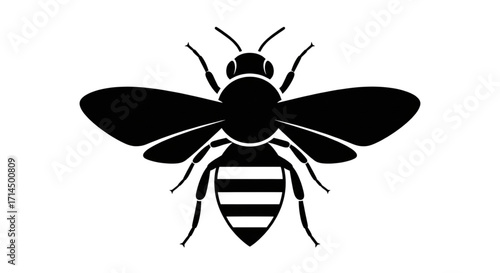 Black silhouette bee icon, simple top view graphic of a flying insect, minimalist vector design for nature and wildlife themes