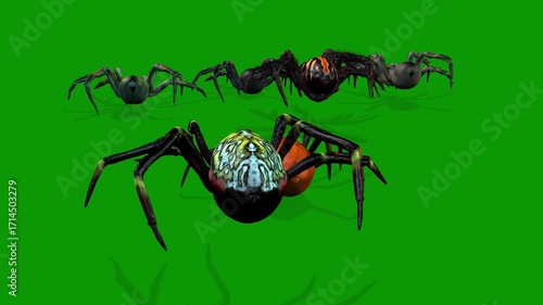 Lots Of Spider Walking Back-3D Rendering Animation On Green Screen