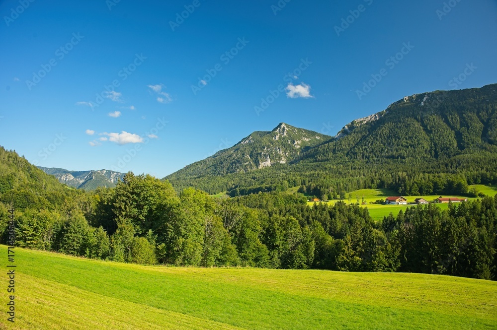 Obraz premium alpine landscape near Ruhpolding in Bavaria