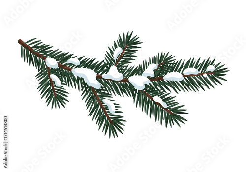 Fir branch covered in snow