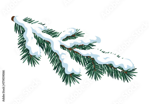 Snow rests atop a green fir branch against a white background