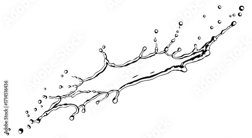 An elegant and detailed line art illustration of two liquid jets colliding. This clean vector represents milk, cream, or cosmetic splashes, perfect for packaging, advertising, and scientific visuals.