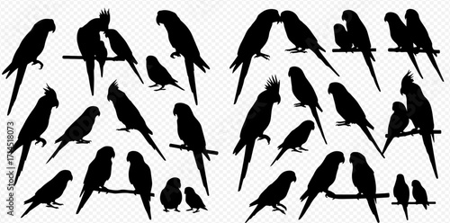A diverse collection of black bird silhouettes, featuring various parrots and parakeets in different poses, including affectionate pairs and single birds perched.
