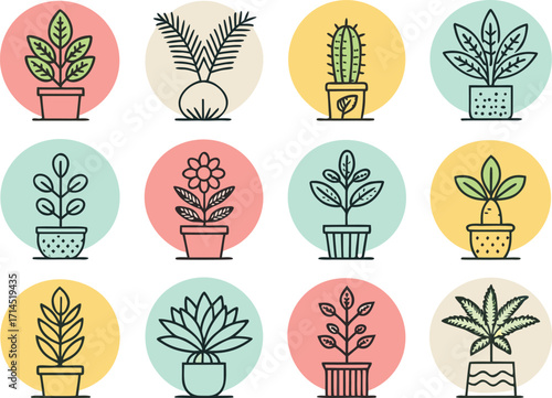 Vector art of collection of twelve potted plants, each displayed within a circular frame, showcasing a variety of foliage and pot designs in a minimalist style