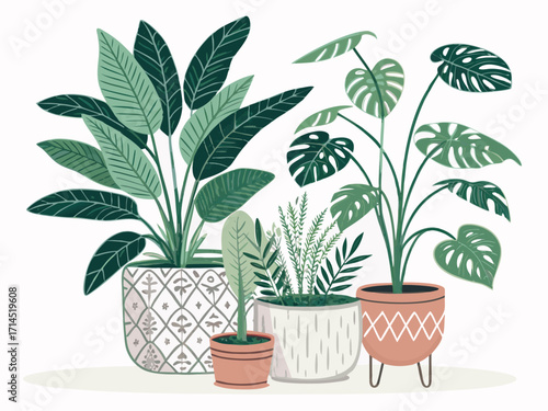 Vector art of a group of four potted houseplants, including a bird of paradise, a monstera, and two other leafy plants, , creating a vibrant and fresh indoor garden scene