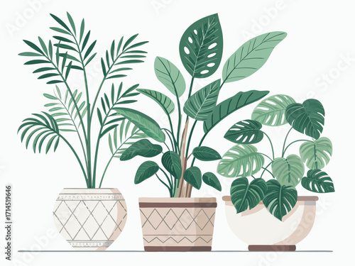 Vector art of three potted houseplants with various leaf shapes and pot designs, perfect for adding a touch of nature to any interior space, botanical illustration, and design elements
