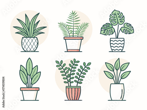 Vector art of a diverse collection of potted houseplants, featuring various species with unique leaf shapes and patterns, perfect for adding a touch of greenery to any space