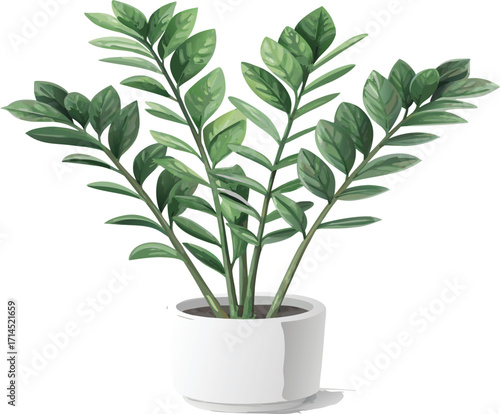 Vector art of a vibrant zamioculcas zamiifolia, commonly known as zz plant, thrives in a sleek white pot, its glossy green leaves radiating vitality, , adding a touch of natures elegance to any space