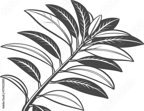 Vector art of detailed botanical illustration of a leafy branch, showcasing intricate vein patterns and organic shapes, perfect for decorative design elements and artistic projects