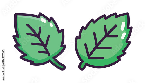 Two green mint leaves, a simple and fresh illustration of plants and herbs.