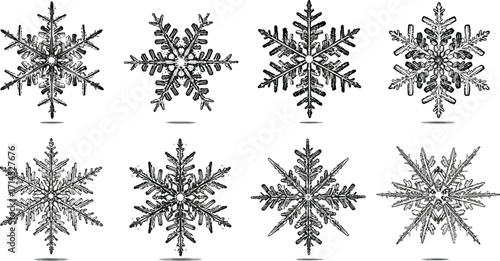 Detailed snowflakes, showcasing intricate crystal structures and delicate patterns formed during winter precipitation
