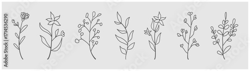 Botanical line drawing vector. Abstract floral art collection.