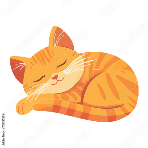 Cute orange tabby cat curled up asleep