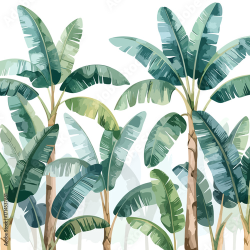 Watercolor painting of lush green banana palm trees, tropical foliage.
