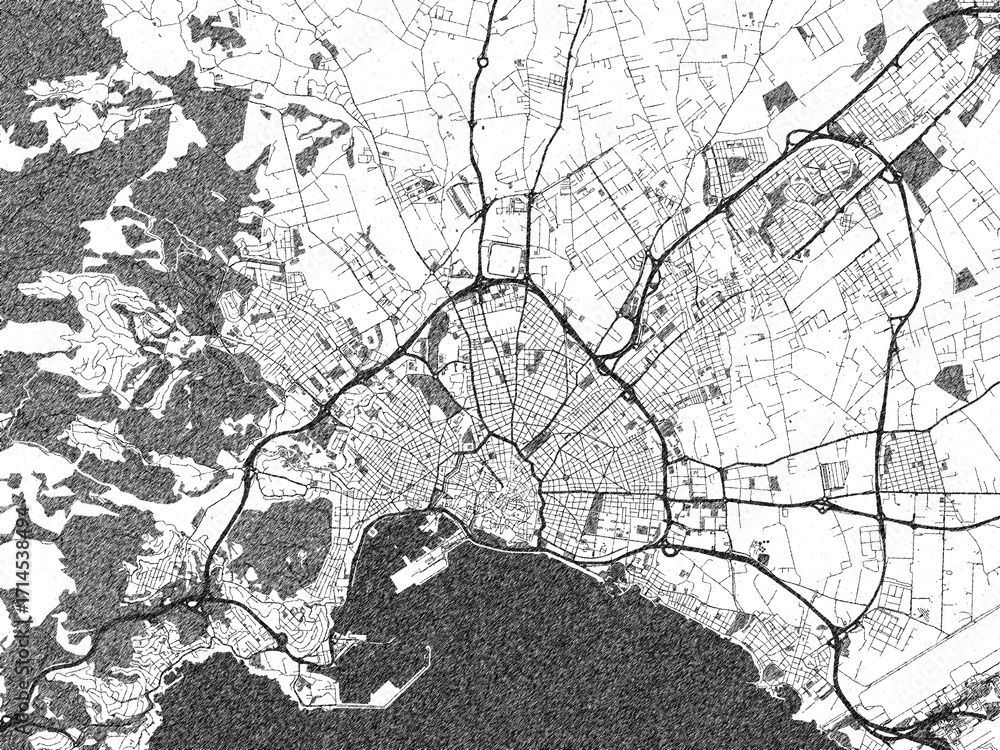 Fototapeta premium Minimalist monochrome city map of Palma de Mallorca, Spain, illustrated with urban detail.