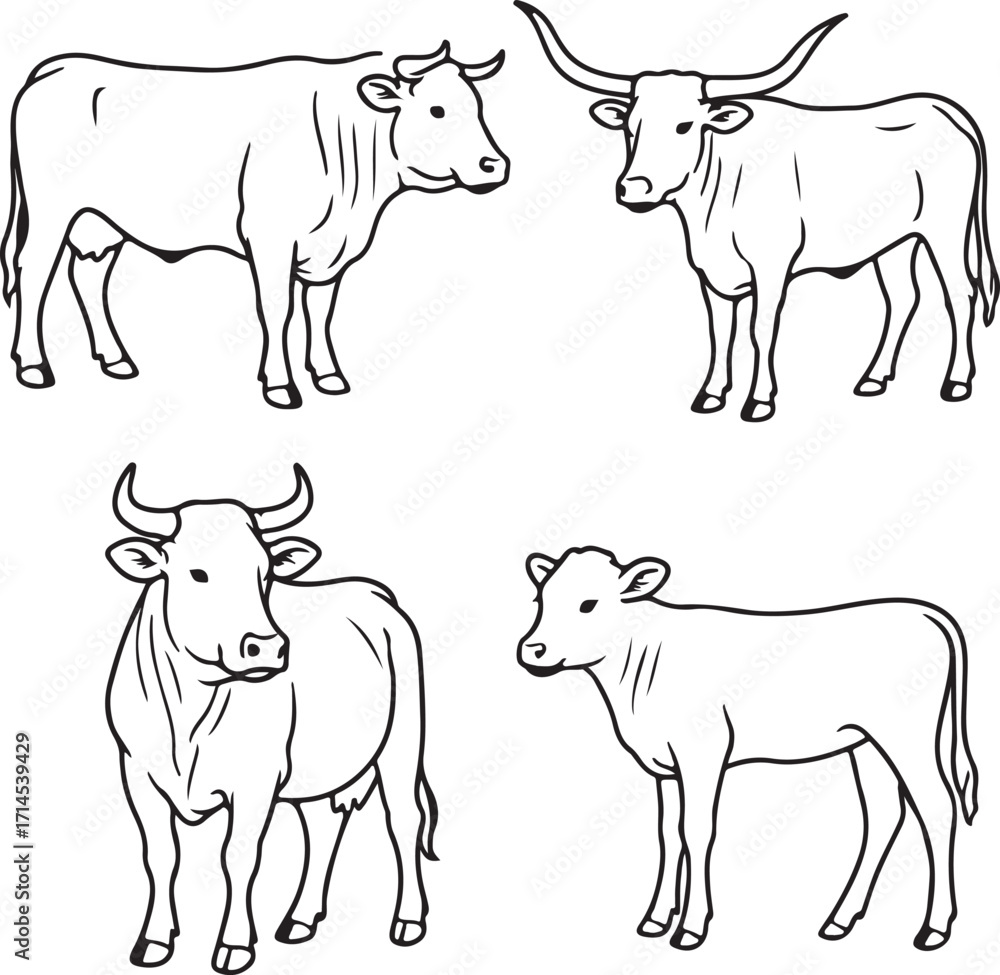 Fototapeta premium Line art cattles