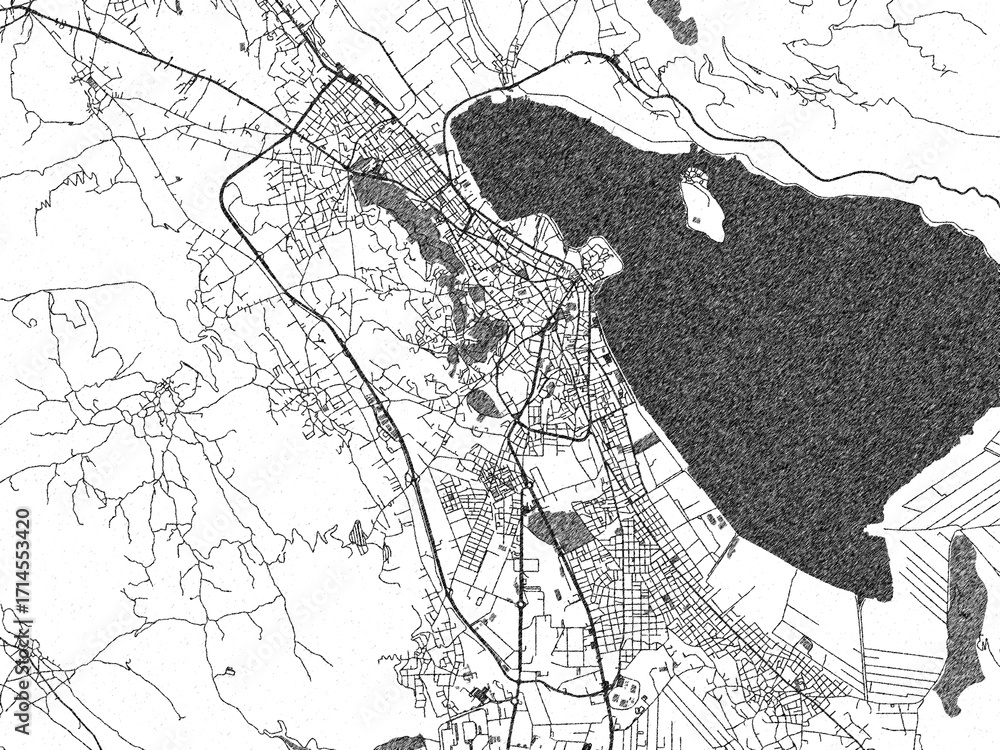 Naklejka premium Poster-ready monochrome city map of Ioannina, Greece, with detailed streets and rivers.