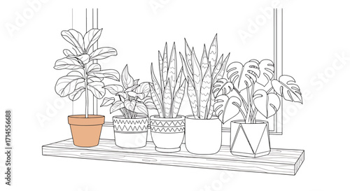 Line sketch of indoor plants on window sill in various decorative pots, minimal black and white houseplant illustration.