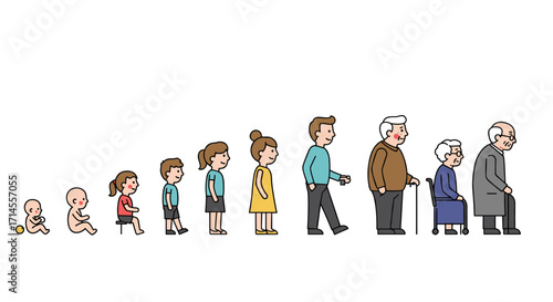 Life stages: illustrated human growth from baby to elderly
