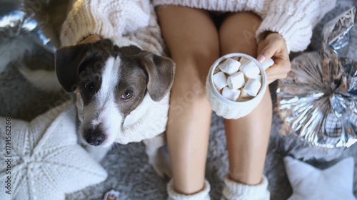 Cozy winter scene featuring a woman in a warm sweater, enjoying a mug of hot chocolate with marshmallows, accompanied by her adorable dog, amidst festive christmas decorations