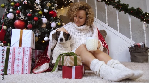 Young woman wearing a white woolen sweater and socks is sitting near a decorated christmas tree and some wrapped gifts, holding a mug and petting her dog, also wearing a white woolen sweater
