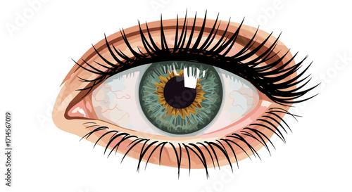 Realistic eye with detailed iris and lashes on white background