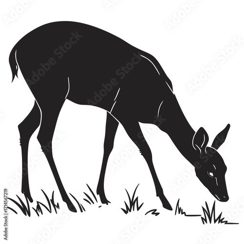 silhouette of a deer