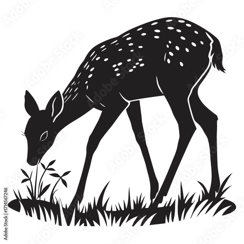 silhouette of a deer