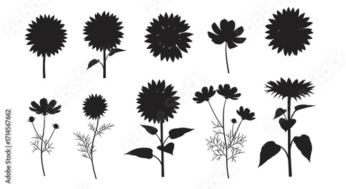 Silhouette sunflower and floral designs for creative projects