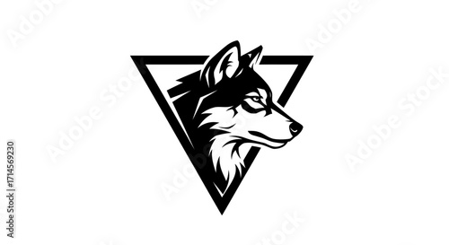 A striking black and white illustration of a wolf's head emerging from a geometric triangle.