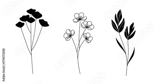 Minimalist botanical silhouettes and line art flowers on white background