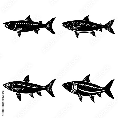 Illustration of four stylized fish in black and white with varying fin and body details shown clearly