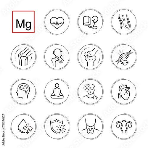 Icons sheet for magnesium mineral supplements . Perfect for health and wellness and pharmacy graphics, this versatile icon set is ideal for health projects. EPS10.