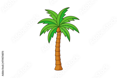 palm tree on white background