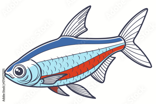 fish on a white background