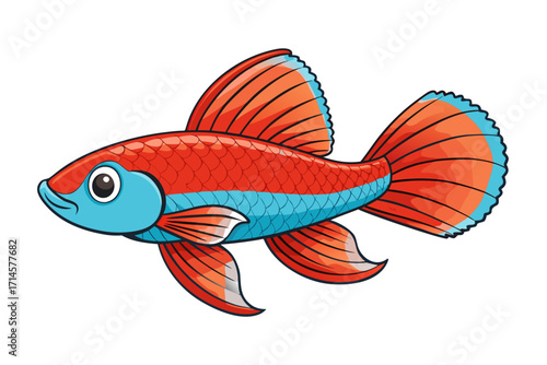fish on a white background