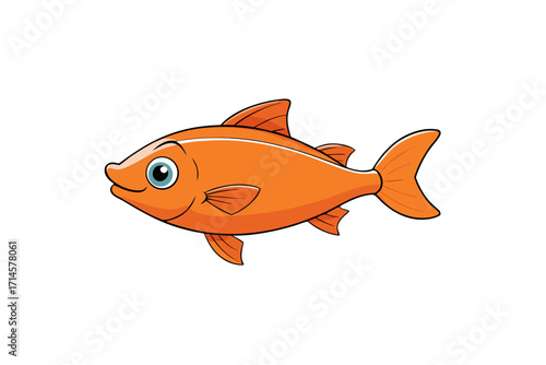 fish on white background