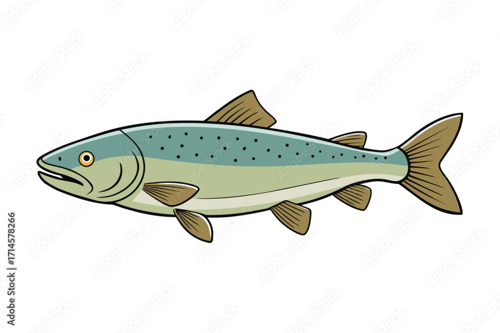 Obraz premium fish on white background