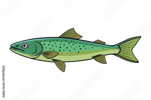 fish on white background