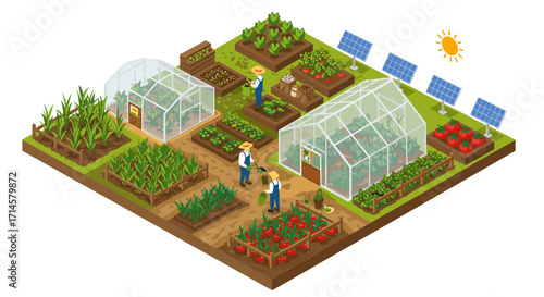 Sustainable farming isometric concept with greenhouses and solar panels