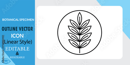 Botanical Specimen Line Art Vector Illustration