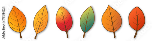 A set of six bright, simple autumn leaves of different colors and shapes with a shadow on a white background.