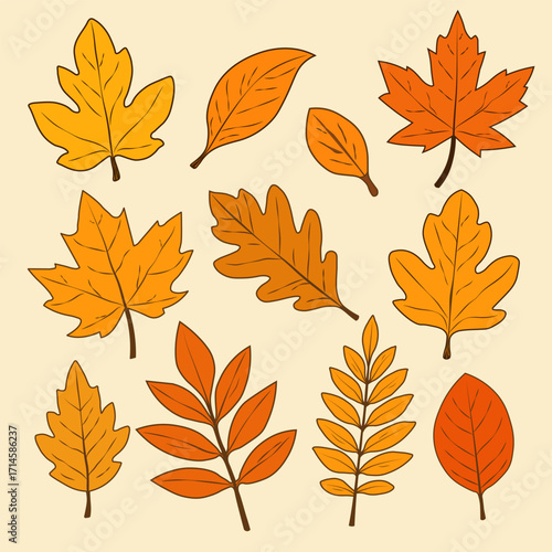 A set of autumn leaves of different shapes on a beige background.