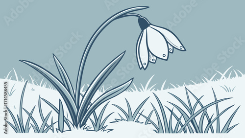 Elegant Snowdrop Flower Illustration in Minimalist Blue-Gray Tones, Emerging from Winter Ground as a Symbol of Early Spring and New Beginnings