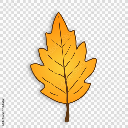 A bright, simple orange autumn leaf with streaks and shadows on a transparent background.